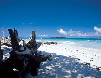ISLANDERS GUESTHOUSE PRASLIN - Praslin